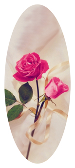 389 D516 508 White Rose